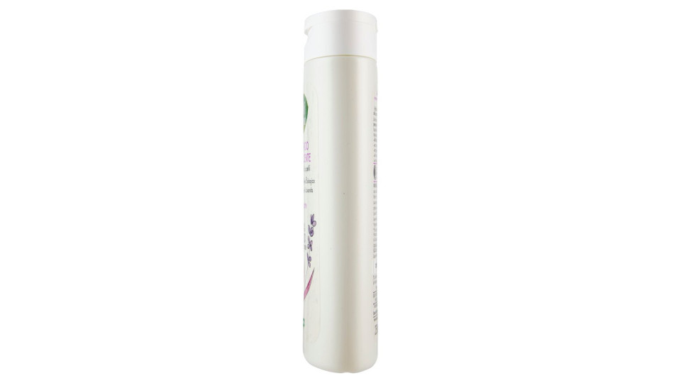 Shampoo Addolcente Idratante 250 Ml