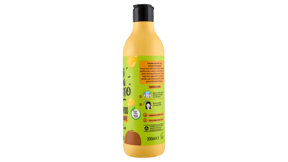 Shampoo Districante 300 Ml