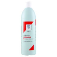 Shampoo Riparatore Hair 300 Ml
