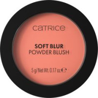 Soft Blur Blush In Polvere 010