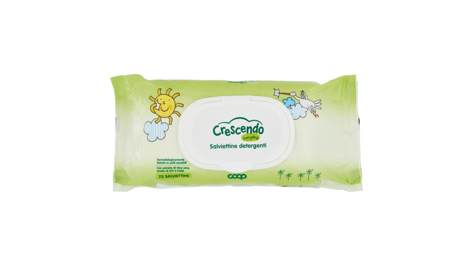 Salviettine Detergenti Everyday 72 Pz