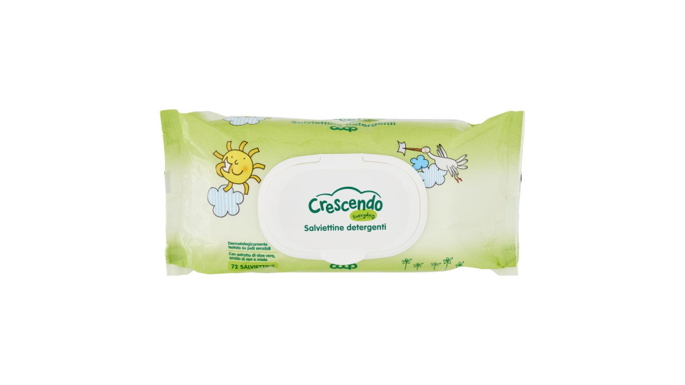 Salviettine Detergenti Everyday 72 Pz