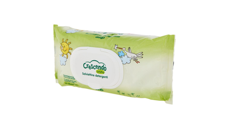 Salviettine Detergenti Everyday 72 Pz