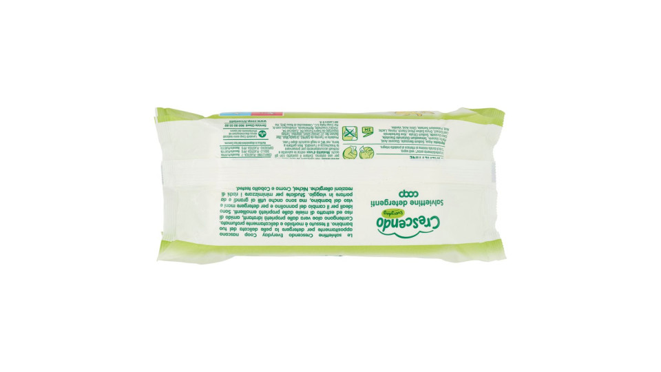 Salviettine Detergenti Everyday 72 Pz