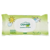 Salviettine Detergenti Everyday 72 Pz
