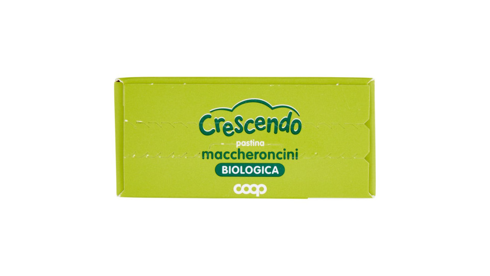 Pastina Maccheroncini Biologica 320 G