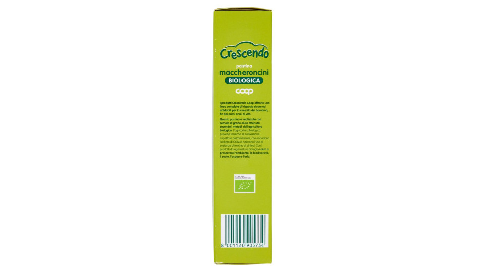 Pastina Maccheroncini Biologica 320 G