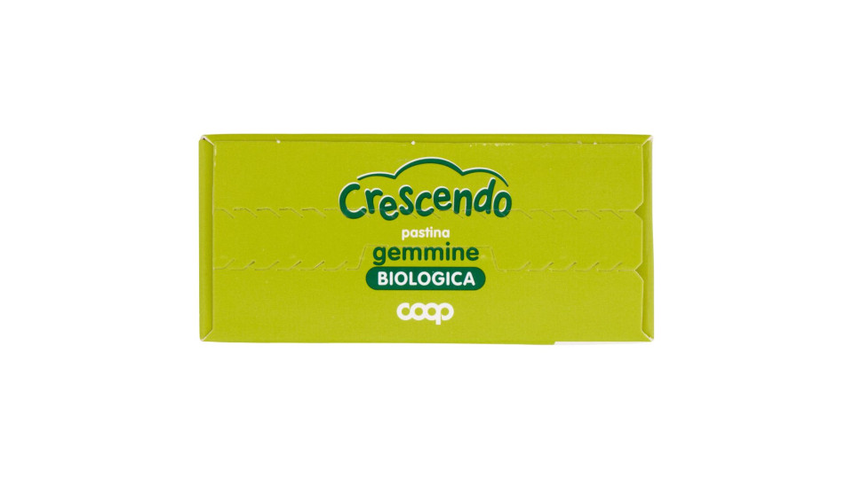 Pastina Gemmine Biologica 320 G