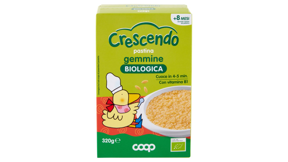 Pastina Gemmine Biologica 320 G
