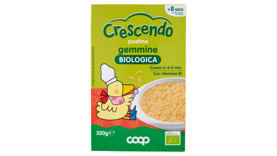 Pastina Gemmine Biologica 320 G