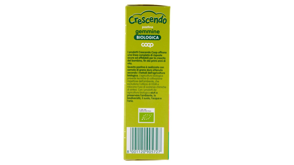 Pastina Gemmine Biologica 320 G