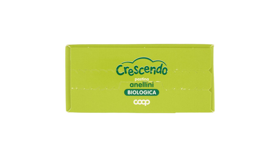 Pastina Anellini Biologica 320 G