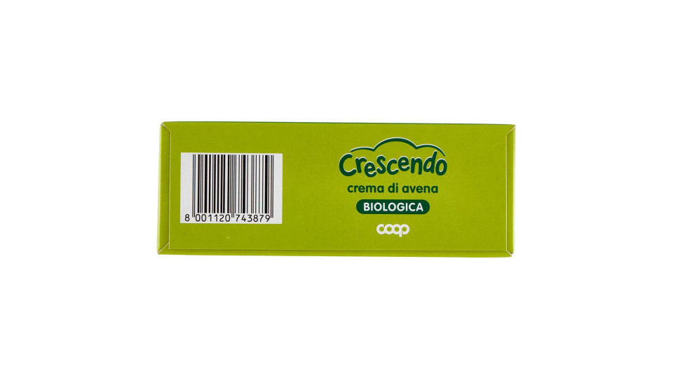 Crema Di Avena Biologica 200 G