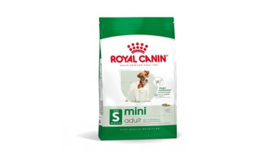 Royal Mini Adult 800 Gr