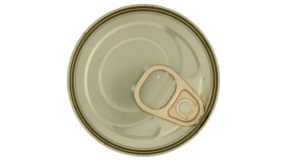 Spezz.pol/salm Gatto Coop 85g