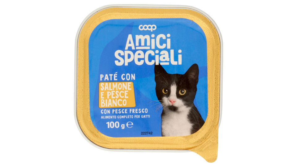 Paté Con Salmone E Pesce Bianco 100 G