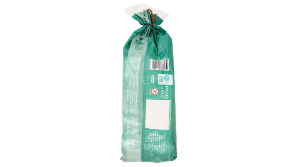 Pane A Fette Con Pasta Madre Senza Glutine 300 G
