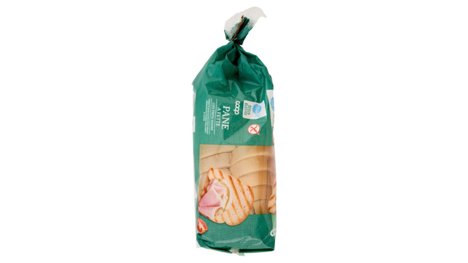 Pane A Fette Con Pasta Madre Senza Glutine 300 G