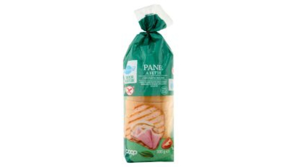 Pane A Fette Con Pasta Madre Senza Glutine 300 G