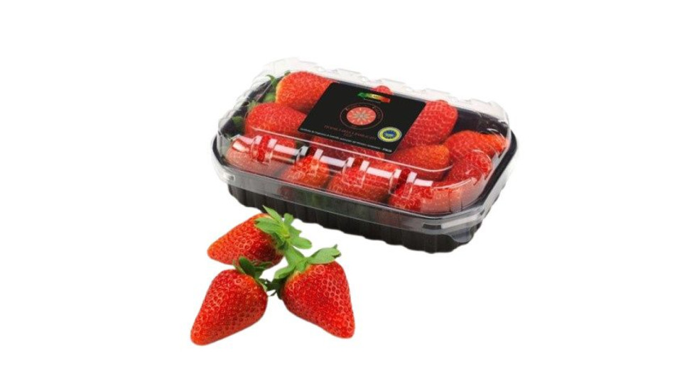 Fragole Della Basilicata Igp G 300