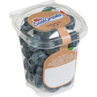 Mirtilli Sant'orsola 100 G