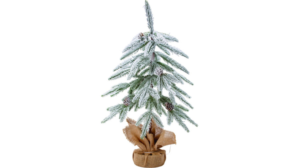 Albero Royal Oregon 60 Cm
