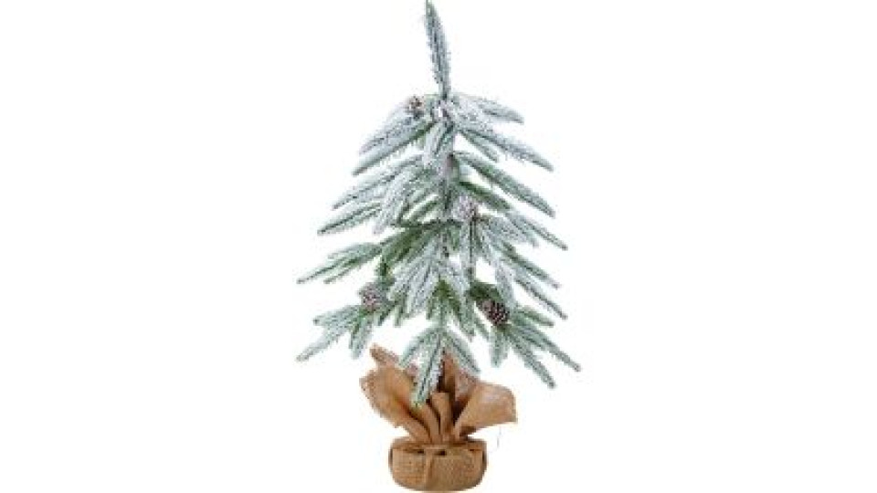 Albero Royal Oregon 60 Cm