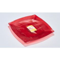 2 Piatti Rossi Plastica 27cm