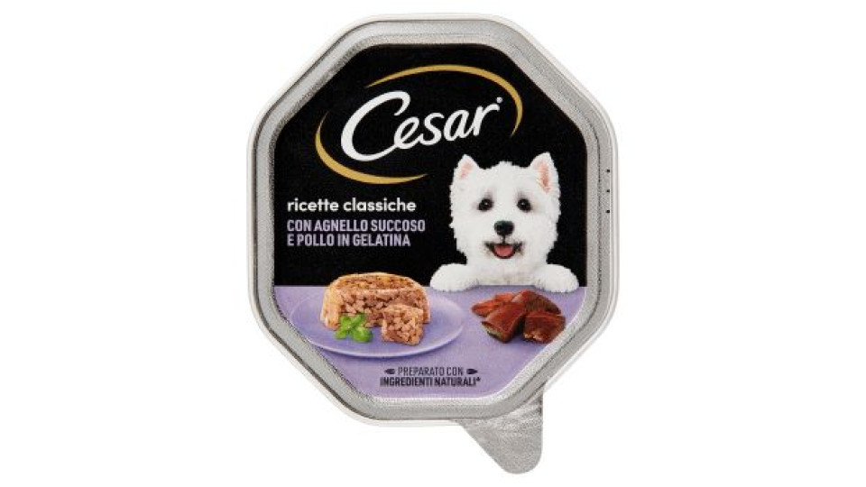 Cesar Ricette Classiche Delicato Paté con Manzo e Pollo