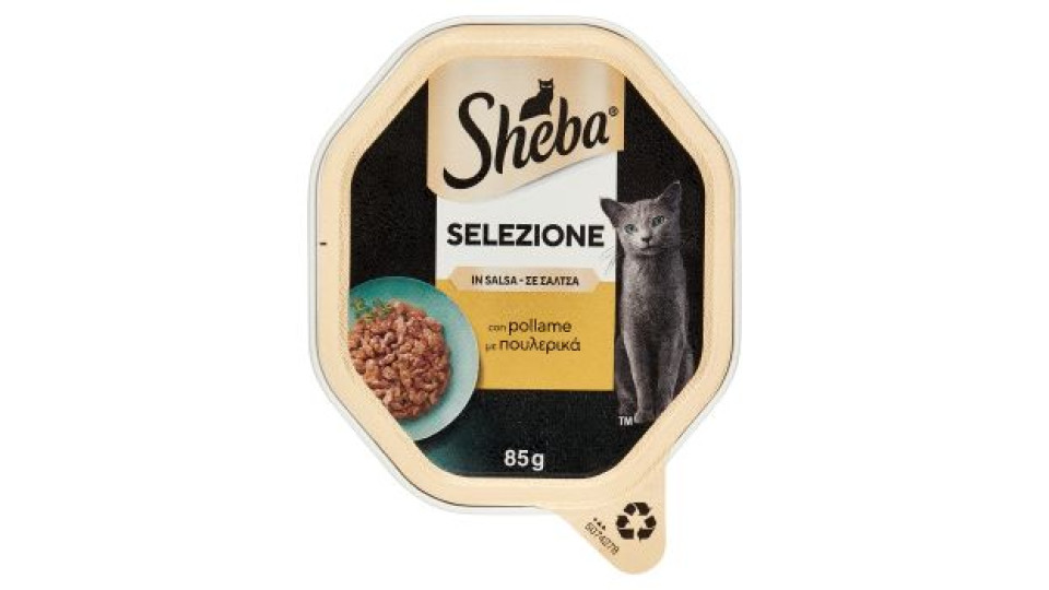 Sheba Selezione in Salsa con Salmone