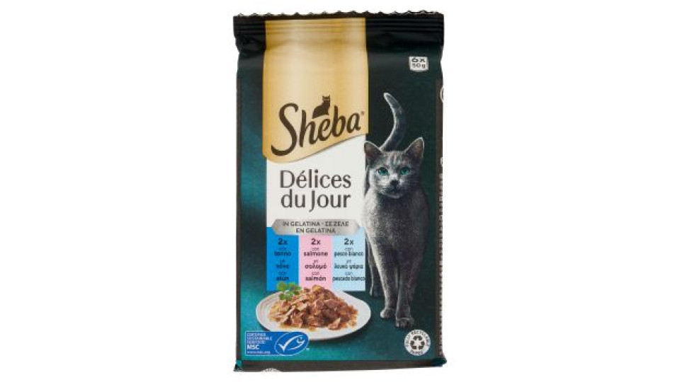 Sheba Délices Du Jour in Gelatina Selezione del Mare