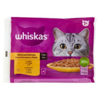 Whiskas 7+ con Pollo