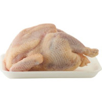 Gallina a Busto