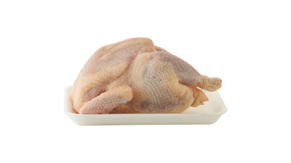 Gallina A Busto 1000 G Ca