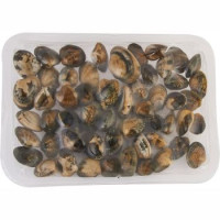 Vongole Veraci