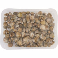 VONGOLE