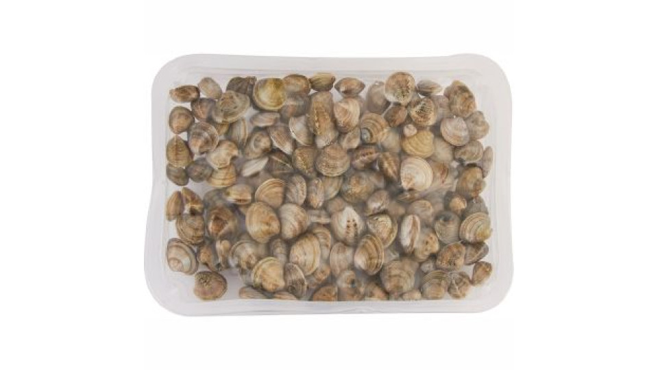 VONGOLE