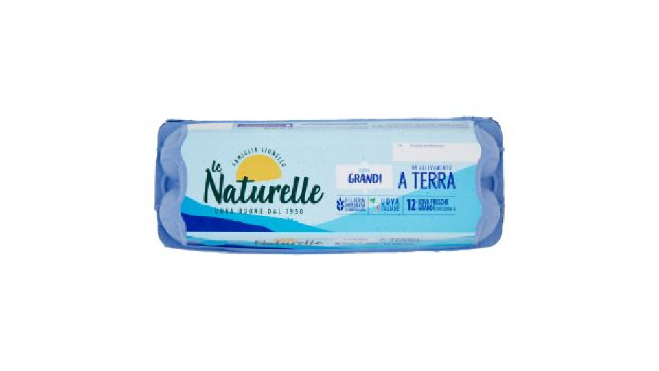 Le Venete 6 Uova Grandi Fresche da Allevamento a Terra