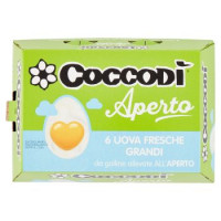 UOVA ALLEVATE ALL'APERTO
