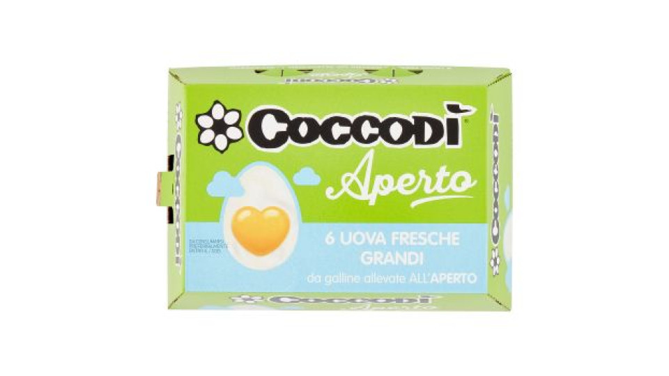 UOVA ALLEVATE ALL'APERTO
