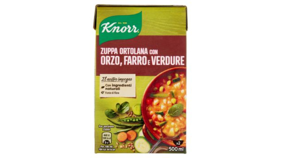 Knorr zuppa ortolana brick