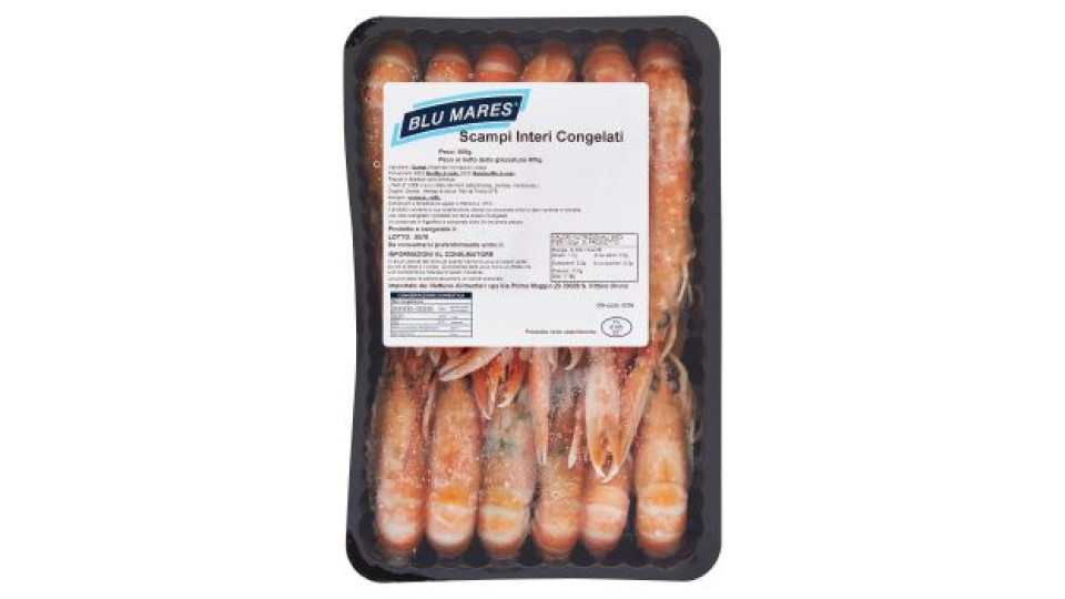 SCAMPI INTERI 20/40