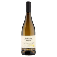 Zuccolo Friulano Collio Doc