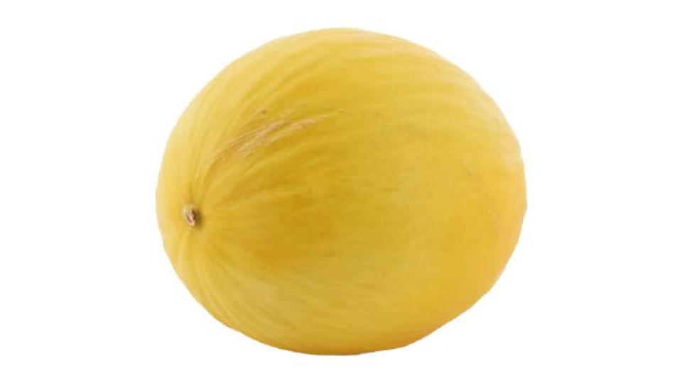 MELONE GIALLO 1,5kg