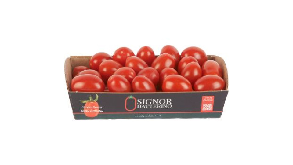 POMODORO DATTERINO KM0 confezionato