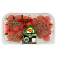 Pomodoro di Pachino Igp