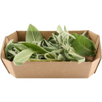 SALVIA CONFEZIONATA,30 g