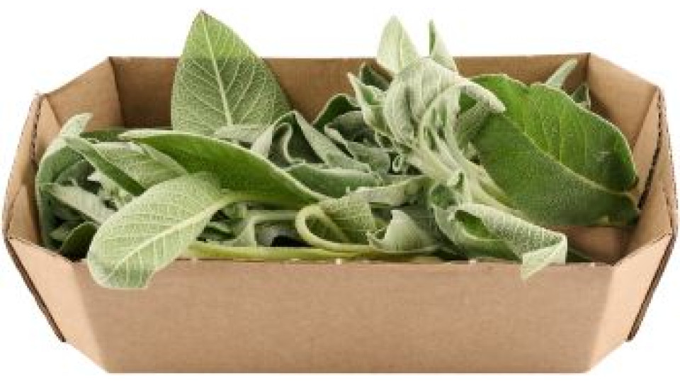 SALVIA CONFEZIONATA,30 g