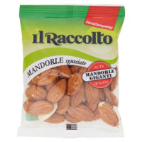 MANDORLE SGUSCIATE