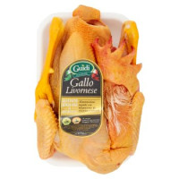 Gallo Livornese Tradizionale Allevato in Italia